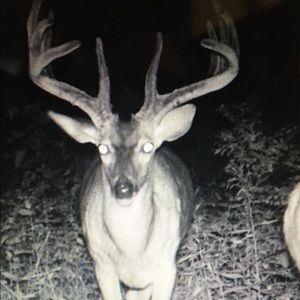 Meet your Posher, Shawn